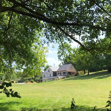 Gites Du Moulin A Tan A Sache 37 Eksteriør bilde